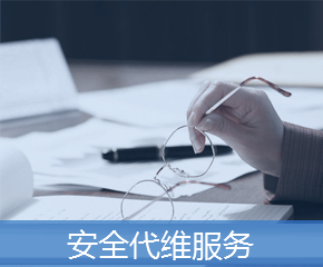 安全代维服务