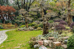 公园无线监控解决方案